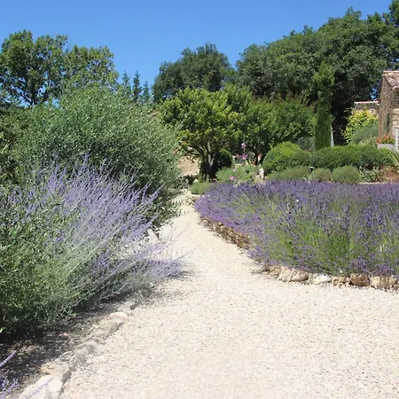 Fleur De Lavande